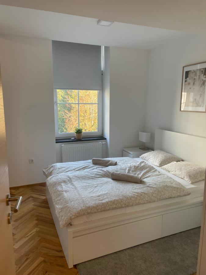 Casa Park Premium Free Parking Apartment Maribor Exterior photo